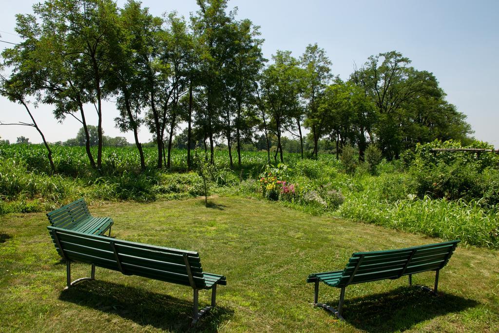 לינה וארוחת בוקר Vittuone Cascina Delle Mele מראה חיצוני תמונה
