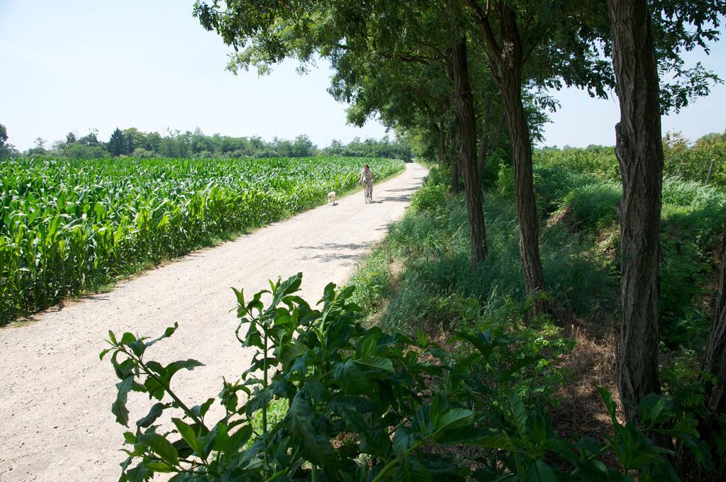 לינה וארוחת בוקר Vittuone Cascina Delle Mele מראה חיצוני תמונה